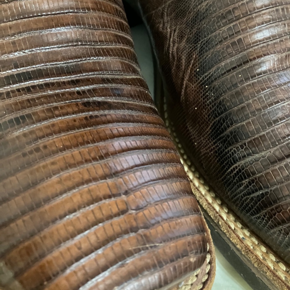 Lizard Baits - image 2